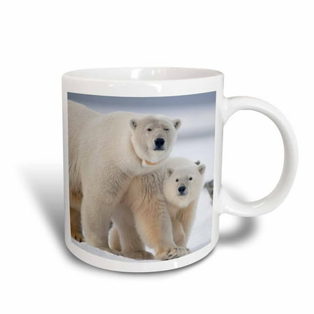 Alaska Cub Bear Knife 3dRose USA, Alaska, Artic NWR, Polar bear sow and cub along a barrier island., Ceramic Mug, 11-ounce ()