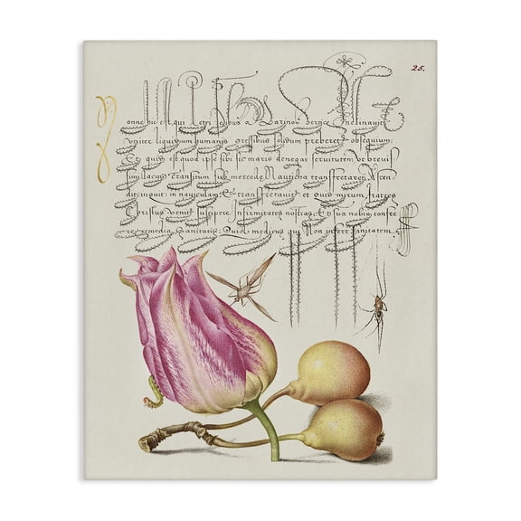 Stupell Industries Budding Lily Vintage Page Text & Numbers Painting Wrapped Canvas Art Print Wall Art, 16 x 20