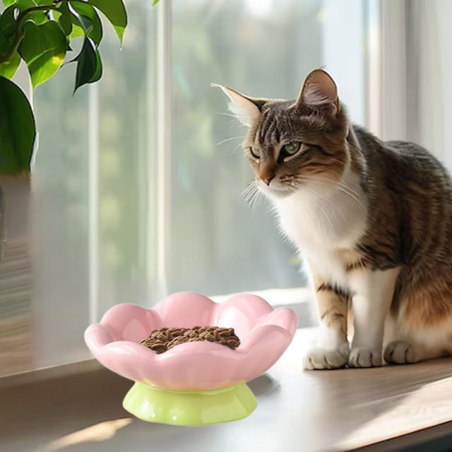 Comedero para mascotas con diseño y resistente forma de tulipán. Accesorio de alimentación. Comedero e inclinado para perros y gatos Cuenco poco profundo
