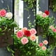thumbnail image 5 of Artificial Rose Flower Decorations Set | 5pcs Faux Floral Garden Decoration | Plastic Fabric Shrub Plants for Patio, Balcony, Grave, Memorial, Events | Upscale Look Simulation | Long-lasting Outdoor, 5 of 8