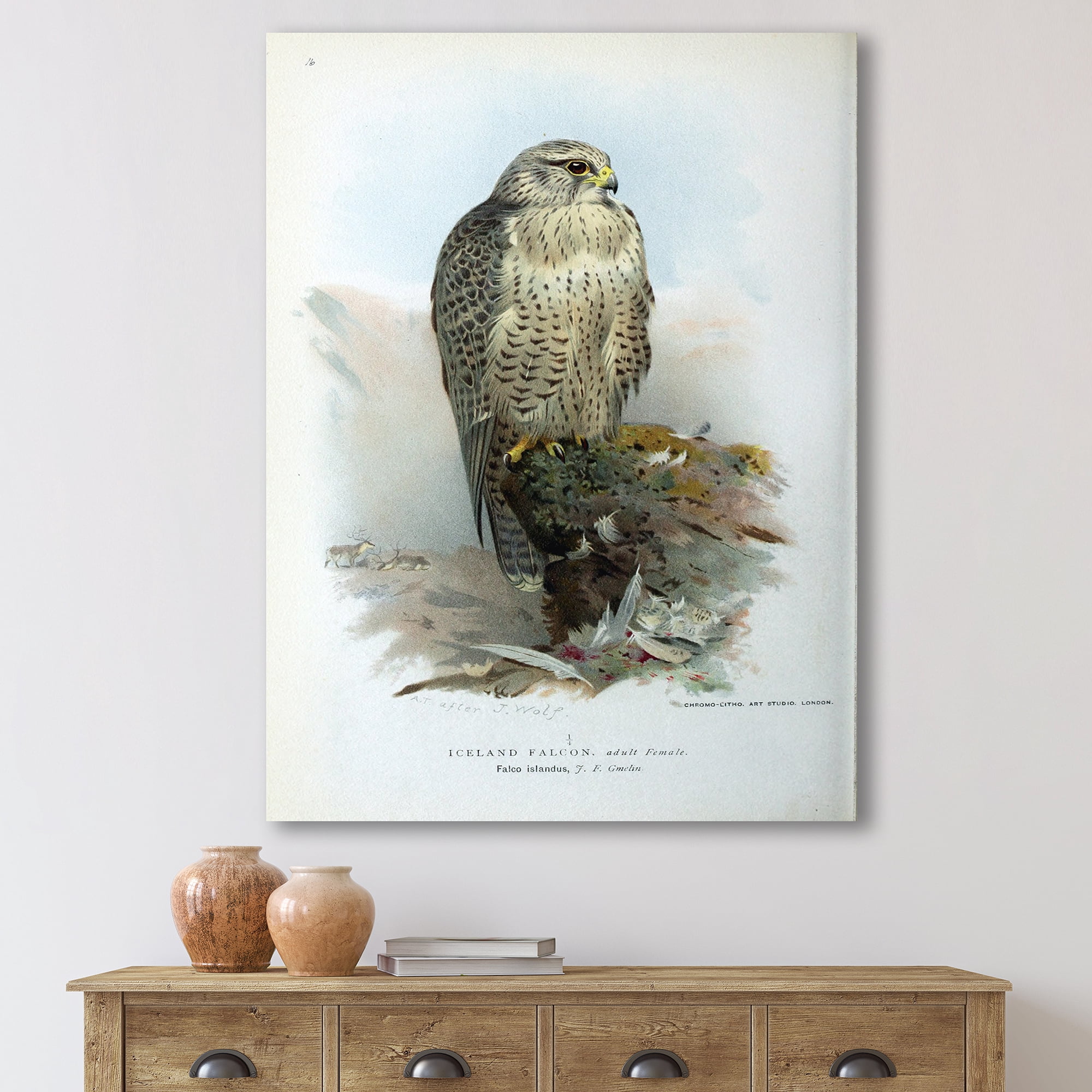 Designart ' Ancient Bird Life V ' Traditional Canvas Wall Art Print
