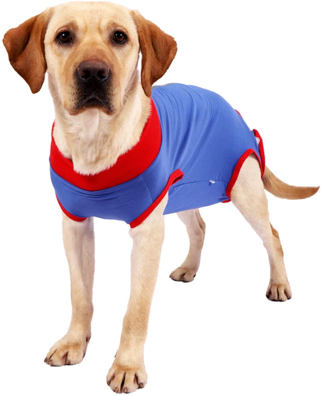 Blue,XS ZIMAOSHAN Recovery Suit for Dogs Abdominal Wound Protector Dog Surgery Recovery Suit Dogs Postoperative Clothing