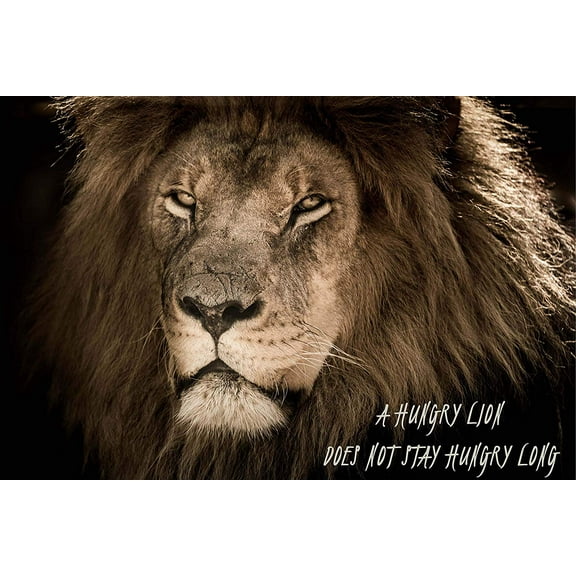EzPosterPrints - Most Popular Lion Theme Quote Posters - Power Strength Brave Beast Motivational Quotes Poster Printing - Wall Art Print for Home Office - HUNGRY - 18X12 inches