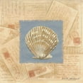 thumbnail image 2 of Phillips, Anita 15x15 Black Ornate Wood Framed with Double Matting Museum Art Print Titled - Fan Shell Postcard, 2 of 4