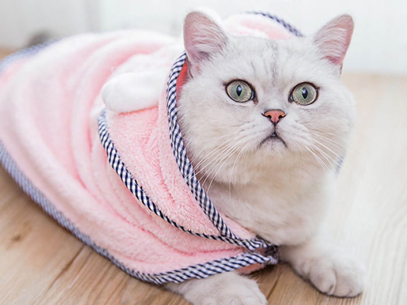 Microfiber Bath Gown for Small Dog and Cat Bath Robe Towel, Quick