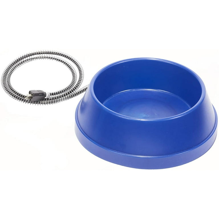 Heated water hot sale dish for dogs