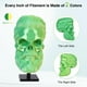 thumbnail image 2 of Filamento para impresora 3D Amoybaby Silk PLA, doble color, 1,75 mm, 1 kg, 2 of 6