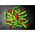 thumbnail image 6 of 50 Seeds SHISHITO PEPPER Green to Red Mild Japanese Chili Capsicum Annuum Vegetable Seeds, 6 of 9