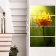 thumbnail image 1 of Large Yellow Flower in Spotlight - Large Flower Canvas Art Print, 1 of 3