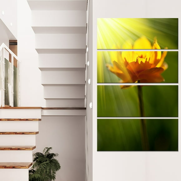 Large Yellow Flower in Spotlight - Large Flower Canvas Art Print