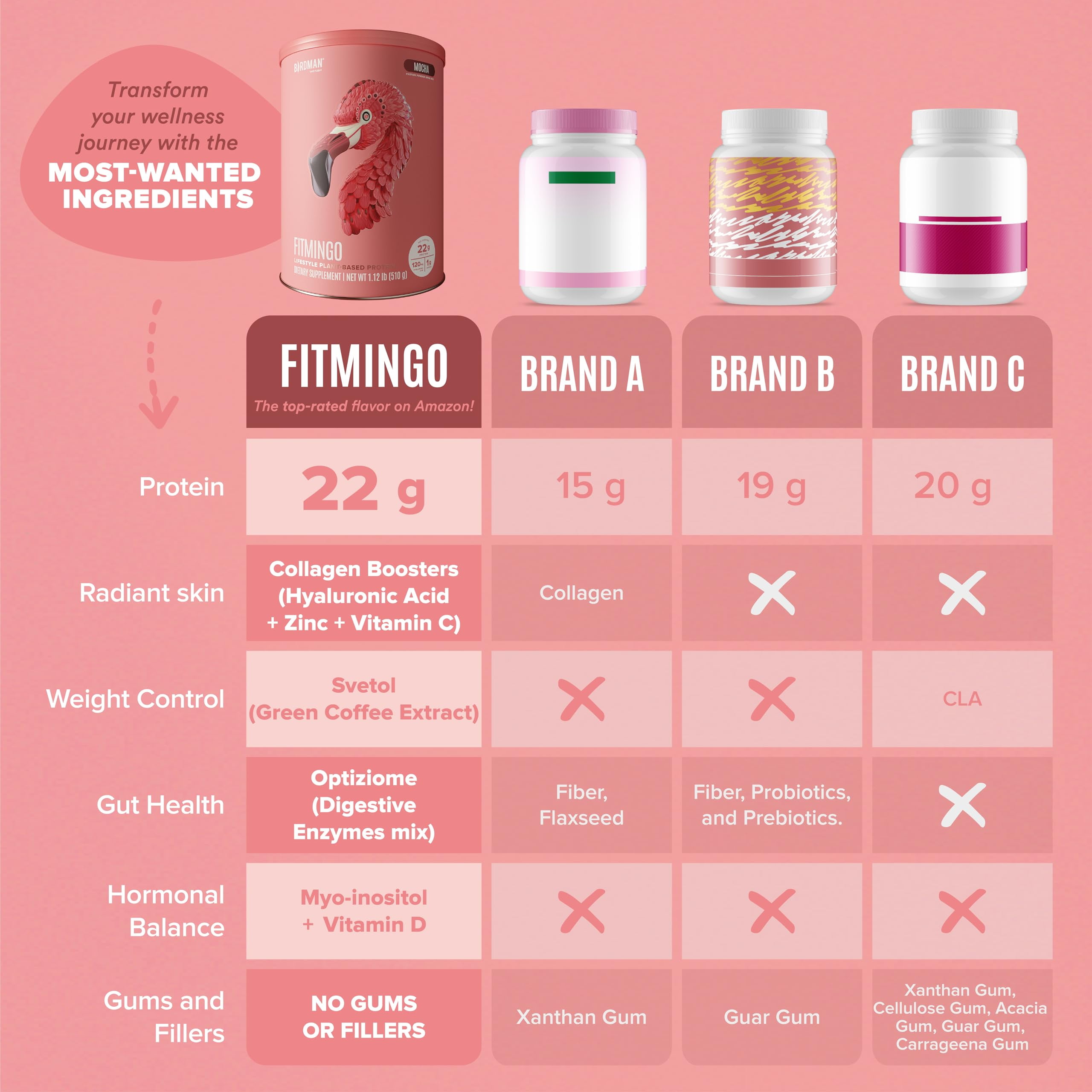 BIRDMAN Fitmingo Vegan Protein Powder with Inositol, 3 Blends, Mocha, 15 Servings, 1.12lb