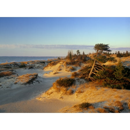 Huron Outdoor Shop Sand Dunes At Sunset Lake Huron Pinery Provincial Park Ontario Canada Canvas Art - Darwin Wiggett Design Pics (32 x 24) ()