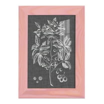 Graphic Foliage VI - Framed Print w/glass - Sunset Pink