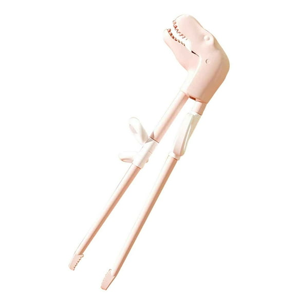 Agiferg Dinosaur Children Learn Chopsticks Cartoon Training Chopsticks Boys And Girls 3-year-old Babies Help Babies And Practice Chopsticks