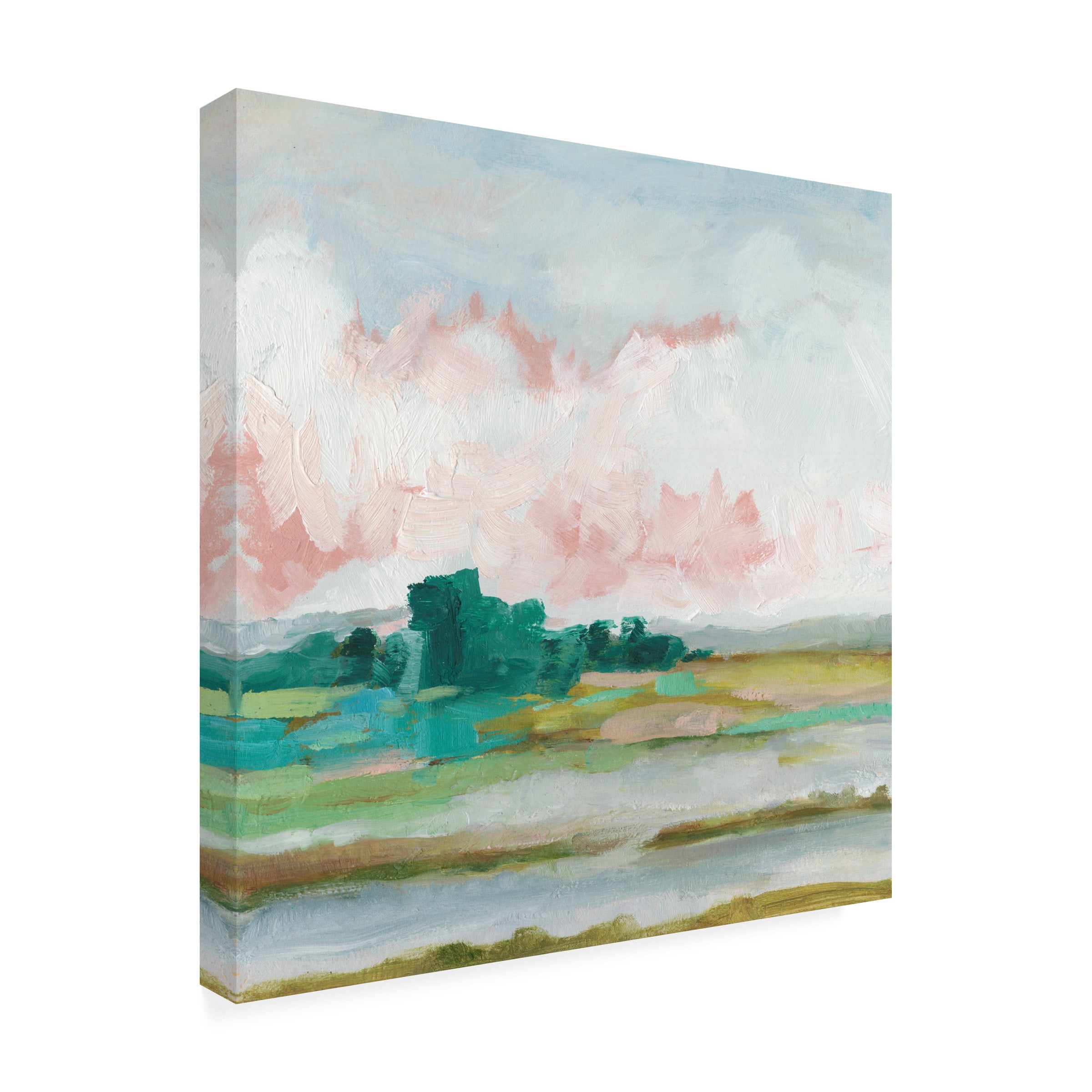 Ethan Harper 'Pink Marsh II' Canvas Art