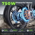 thumbnail image 5 of DTTZH Electric Bike for Adults, 750W Rated Motor, 60 Miles E-Mountain Bike, 20" x 4" Fat Tire Off-Road Ebike, 48V/15.6Ah UL2849 Certified, 5 of 9