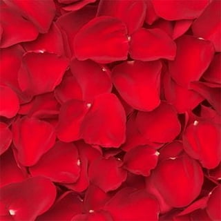 Rose Petals & Cream Fragrance Oil for Soap Candle Making Body