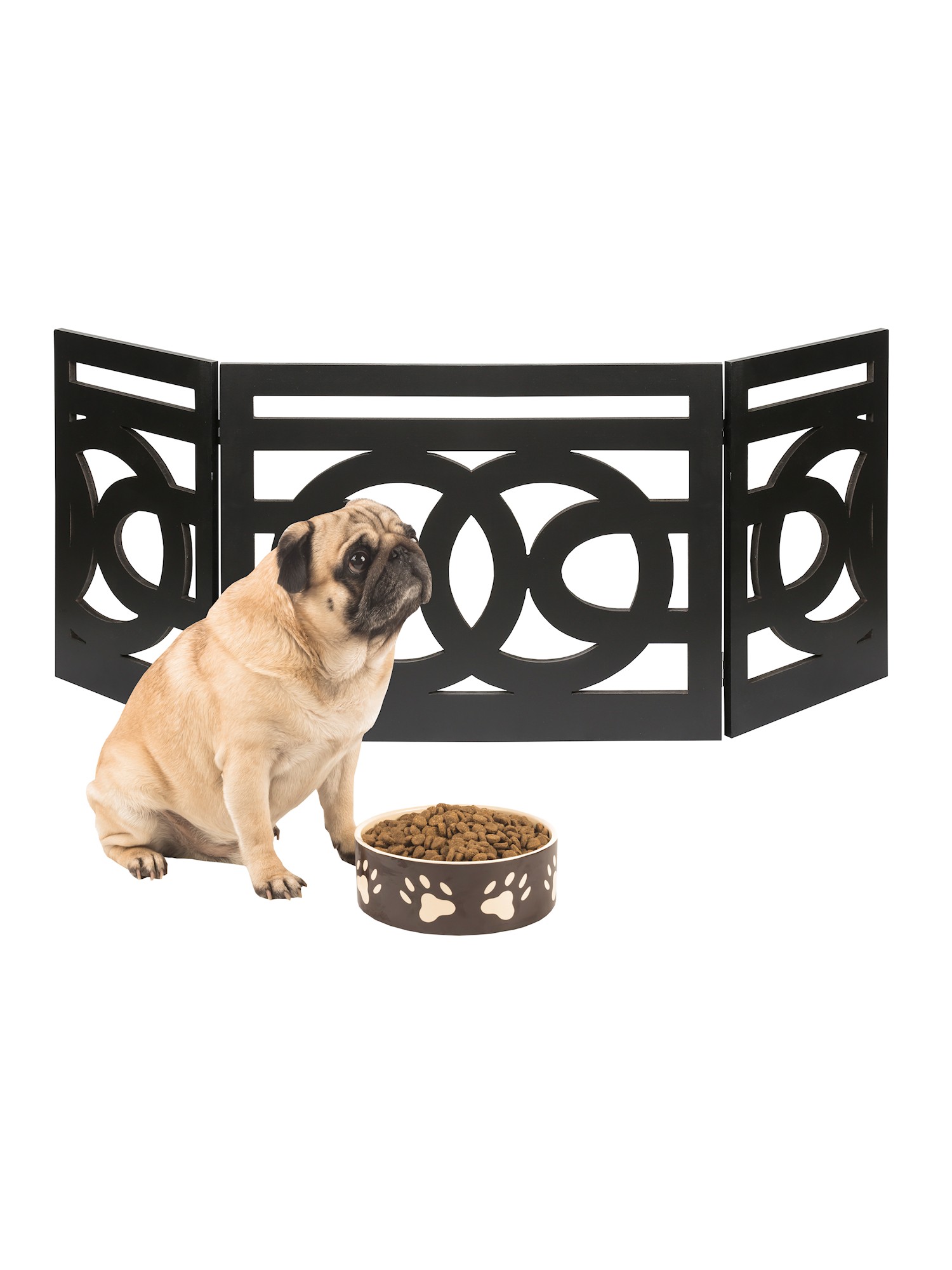 How Do I Stop My Puppy From Eating Twigs