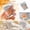 A001- as shown, variant on Transparent Squishy Relaxation Toy with Water Filled Bag Design, Single Piece, Clear and Orange, for Kids and Adults Relaxation, Sensory Squeeze Toy