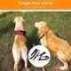thumbnail image 3 of Correa Doble Reflectante Para Perros, Correa Doble De Nailon De Alta Elasticidad Para Perros Que Absorbe Los Golpes, Mejor Control Para Caminar, 3 of 7
