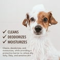 thumbnail image 2 of Sergeant's FUR SO FRESH Oatmeal Dog Shampoo, Milk & Honey, 18 oz, 2 of 5