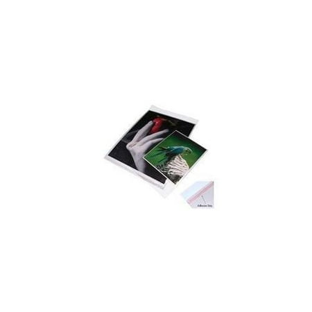 Print File Crystal Clear Art Protectors 8-3/4x11-1/16
