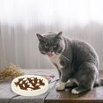 thumbnail image 3 of Tazón de gato anticorrupción, promueve una dieta saludable y una digestión lenta del blanco grande PenghuiLiu 9024719105499, 3 of 5