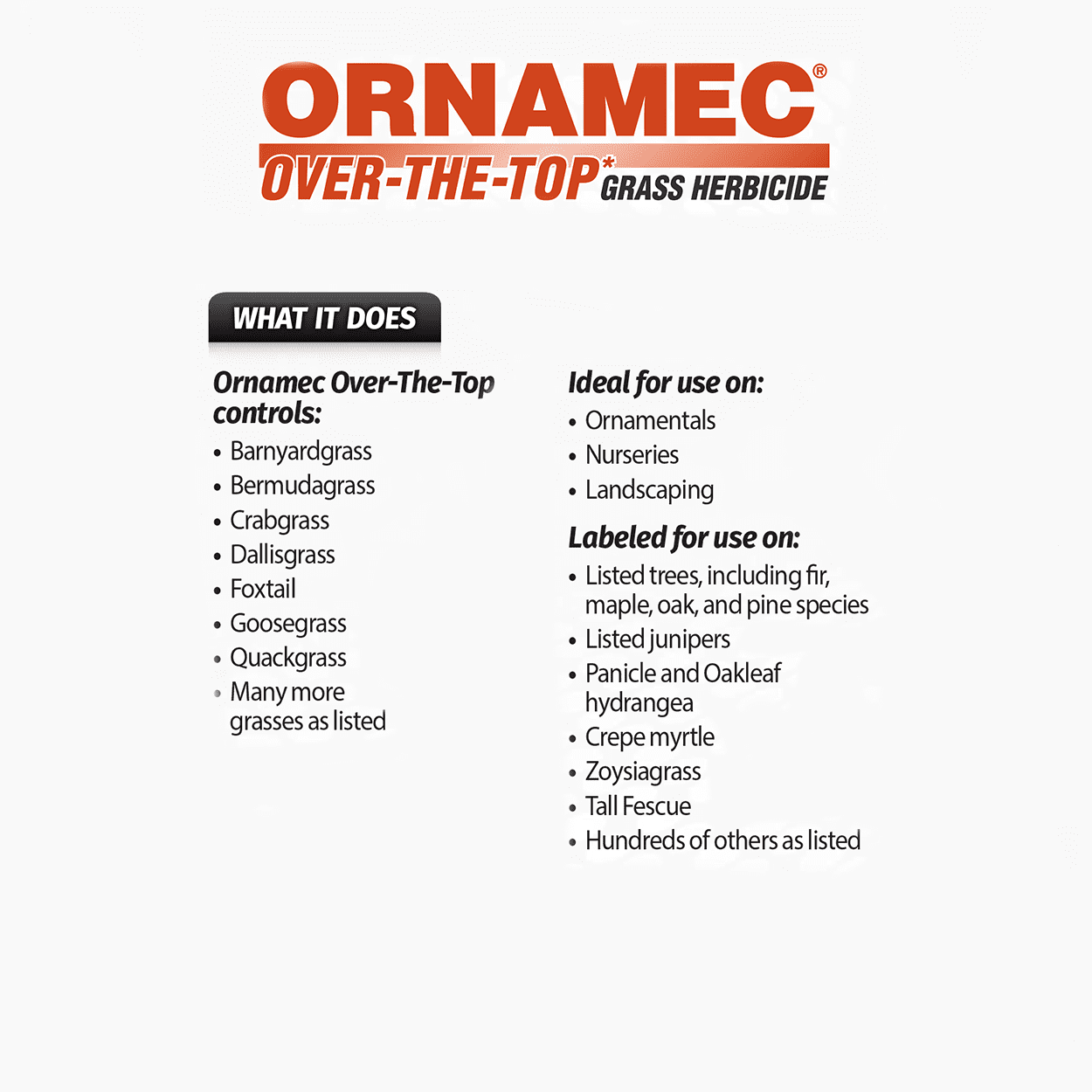 Ornamec OTT Over-The-Top Grass Herbicide - Post-Emergent Control - 32 fl oz Bottle by PBI Gordon