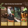 thumbnail image 5 of Ancient Soil Organic Living Soil, 5 of 11