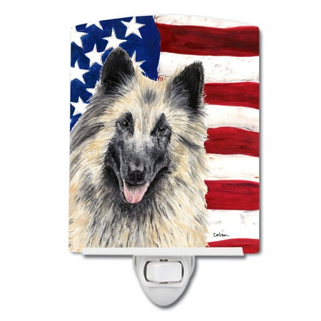 

USA American Flag Belgian Tervuren Ceramic Night Light