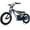 Blue, variant on Akaber Kids Electric Dirt Bike for 6-12 Years, 250W Brushless Motor 15.5MPH, 16" Inflatable Tires, 24V Detachable Battery, Electric Bike for Kids