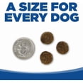 thumbnail image 5 of NutriSource Choice Dry Dog Food, Whitefish Meal & Rice Recipe, 40 lb., 5 of 8
