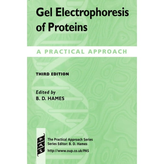 Practical Approach Gel Electrophoresis of Proteins: A Practical Approach, Book 197, (Paperback)