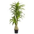 thumbnail image 1 of Nearly Natural 6409 Dracaena Artificial Plant, 1 of 1