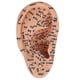 thumbnail image 1 of 1 modelo de masaje de oreja., 1 of 3