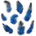 thumbnail image 2 of Paquete de 300 plumas decorativas de gallina de guinea para decoración artesanal de bricolaje, figura decorativa de Pascua y Navidad, 2 of 7