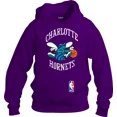 thumbnail image 1 of Sudadera Hoodie Estilo Charlotte Hornets M1- Adulto Niño, 1 of 3