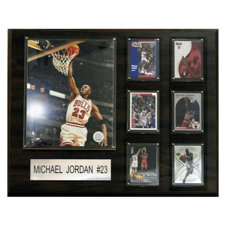 C&I Collectables NBA 16x20 Michael Jordan Chicago Bulls Player