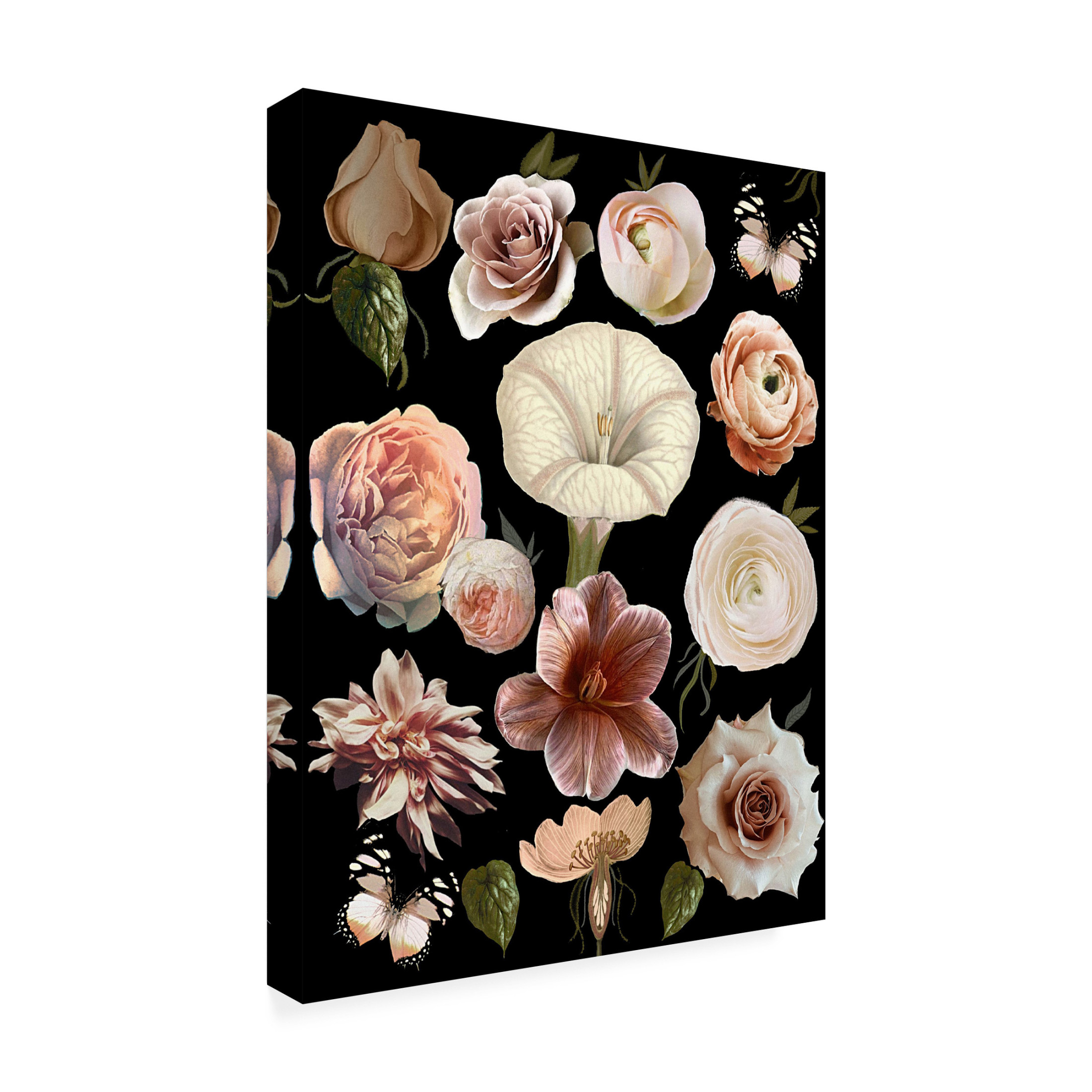 Trademark Fine Art giovanna nicolo  In the Night Canvas Wall Art