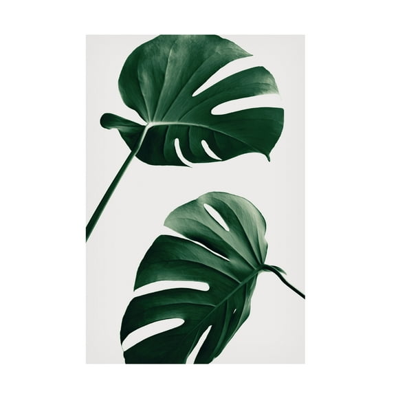 1x Studio III 'Monstera Natural 46' Canvas Art