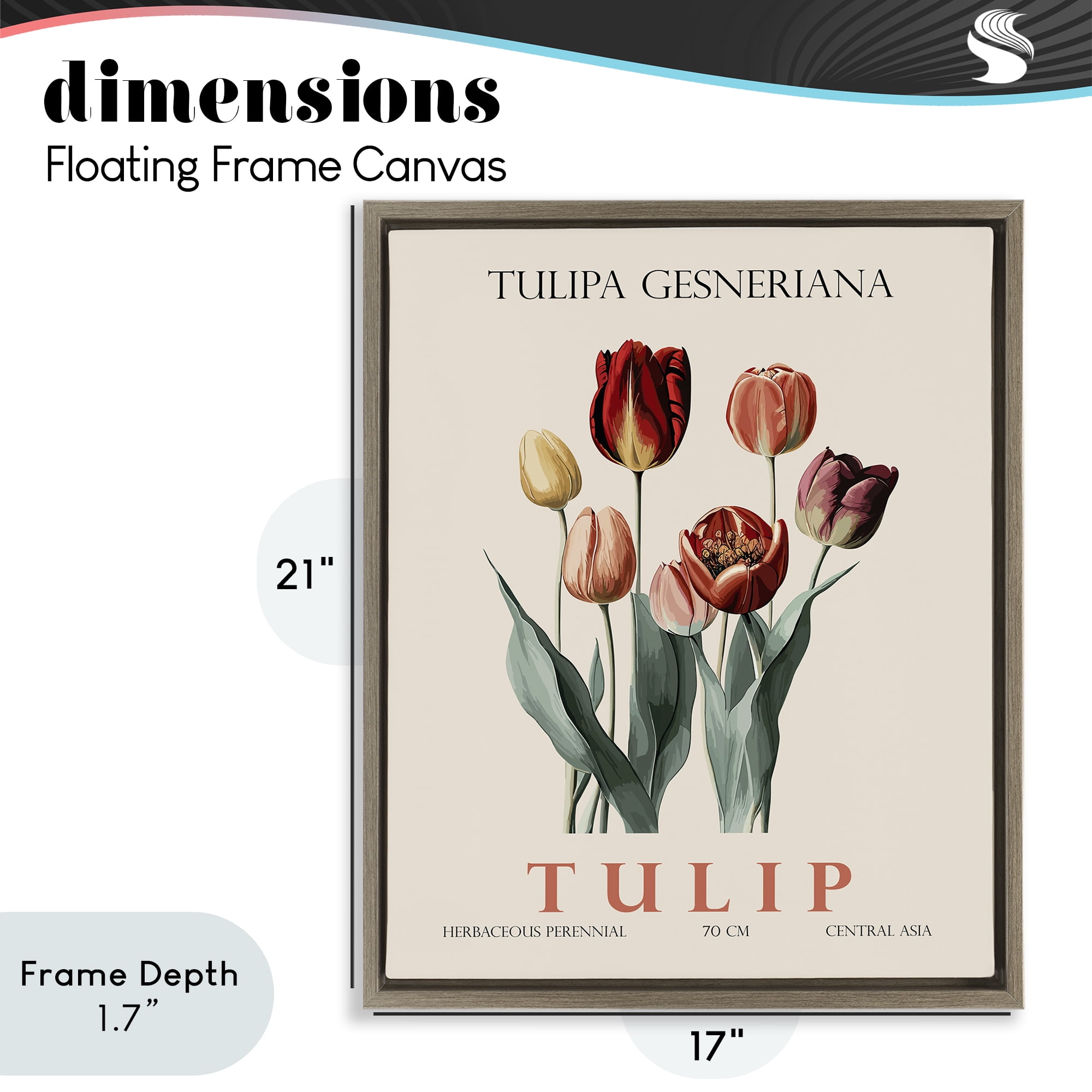 Stupell Industries Natural Tulip Bundle Brown Framed Floater Canvas Wall Art, design by Christopher Giampietro