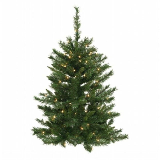 Vickerman A877251LED 5 & apos; x 38 & apos; & apos; Pin Impérial 297T 100WmWht LED