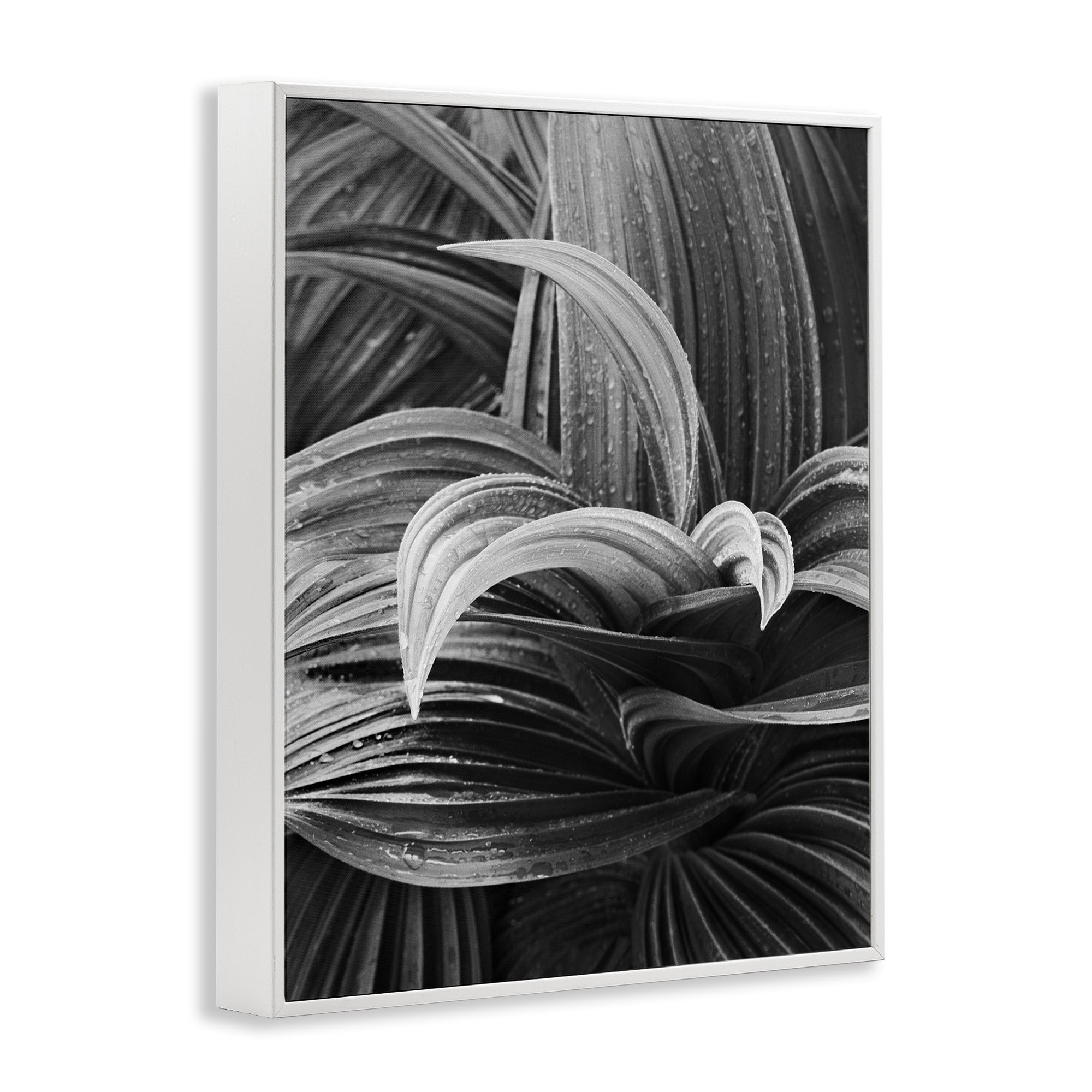 Stupell Industries Wet Leaves Detail Botanical & Floral Photography White Framed Art Print Wall Art, 16 x 20