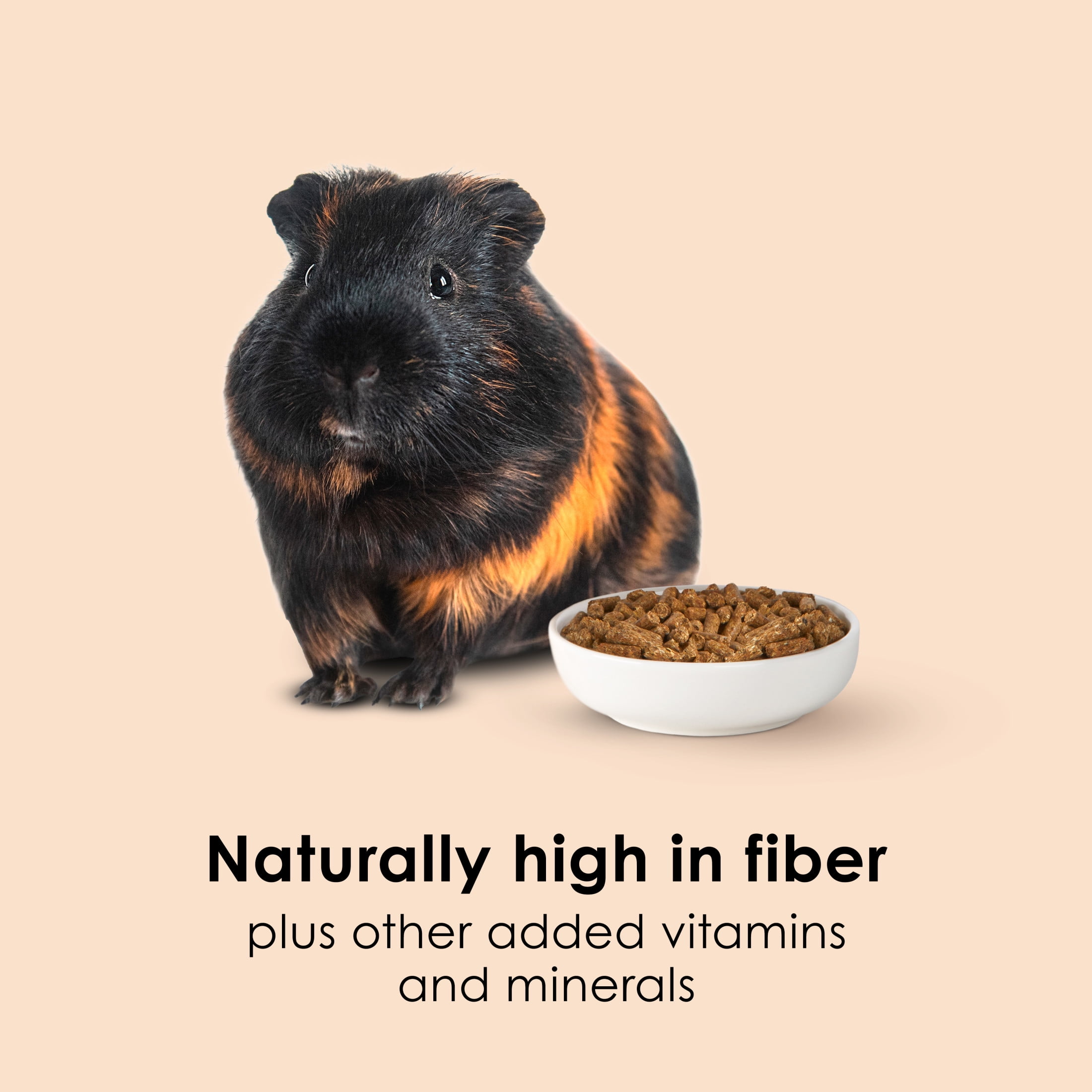 (3 pack) Kaytee Forti Diet Timothy Select Guinea Pig Food 3.5 Pounds