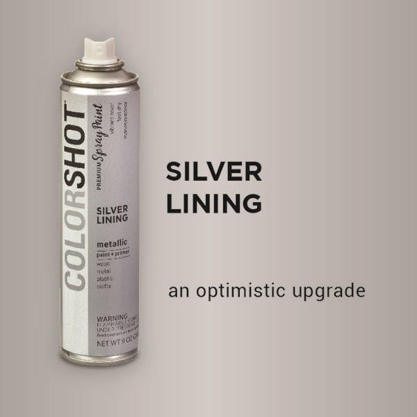 Premium Acrylic Paint Silver Lining Metallic