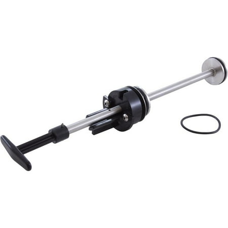 Custom Slide - Piston Assembly, Pentair2