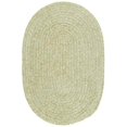 thumbnail image 1 of Colonial Mills Tapis S601R096X132 Spring Meadow - Sprout Green 8 Pi X 11 Pi Tapis Tressé, 1 of 1
