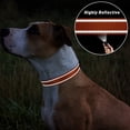 thumbnail image 5 of 2 collares negros para perros, ajustables, de nailon reflectante, estilo clásico, adecuados para perros medianos (M), 2,5 cm de ancho., 5 of 5