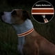 thumbnail image 5 of 2 collares negros para perros, ajustables, de nailon reflectante, estilo clásico, adecuados para perros medianos (M), 2,5 cm de ancho., 5 of 5