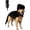 Black, variant on Pet Dinosaur Costume, Soft Plush T-Rex Skeleton Halloween Costume for Dogs | Cosplay Clothes for Medium & Large Dog and Cats Funny Adorable Glow-in-the-Dark Dino Outfits Big Breeds For Party Family